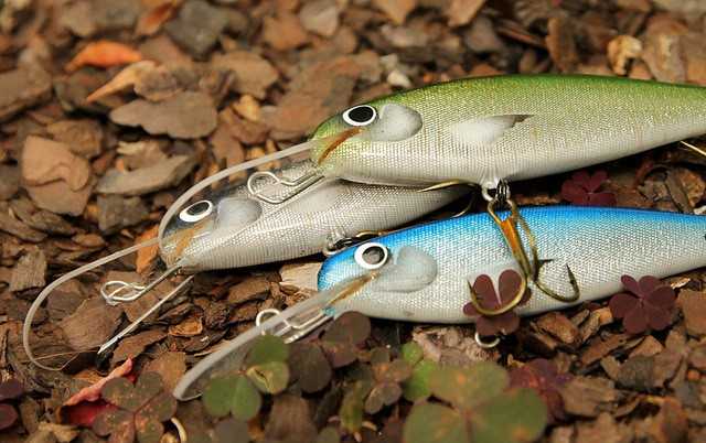 wobler na głęboka wodę